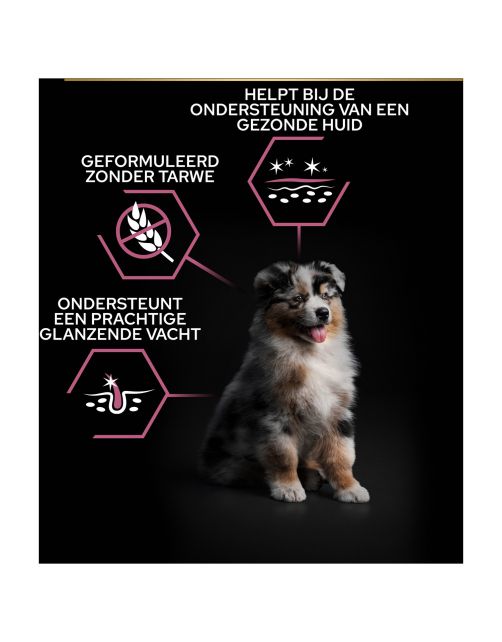 Pro Plan Dog Puppy Medium Breed Sensitive Zalm - Hondenvoer