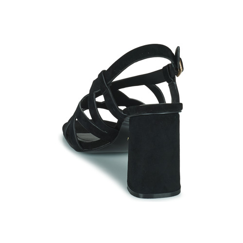 Minelli - LYDIE Negro