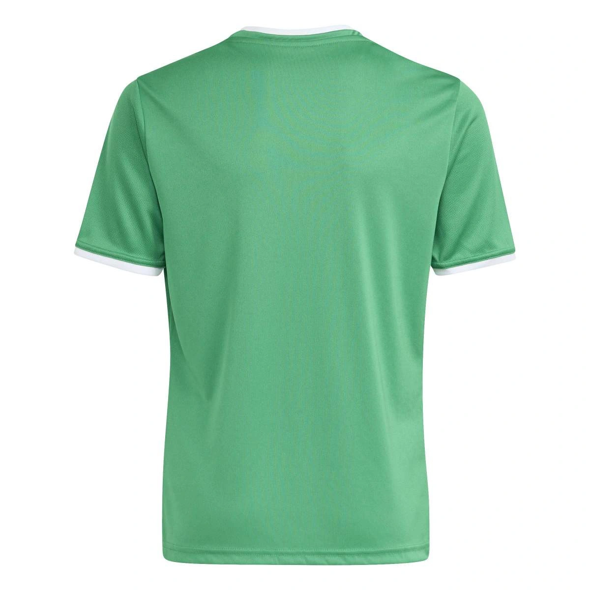 T-Shirt adidas Entrada 26 Criança