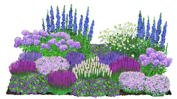 Bio Stauden-Set Weiß-blaues Gartenparadies,