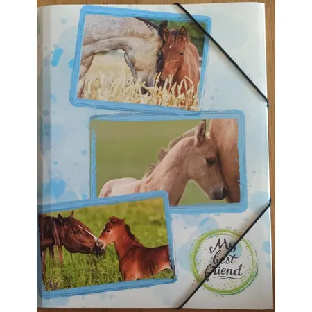 Pagna Sammelmappe My best friend - Pferde, A4
