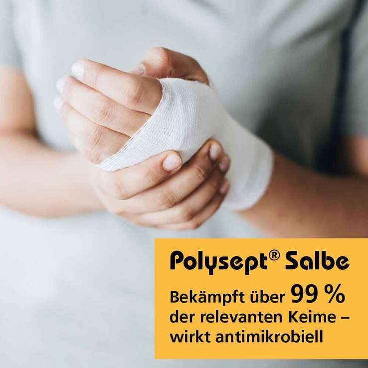 Polysept Salbe, 20 g