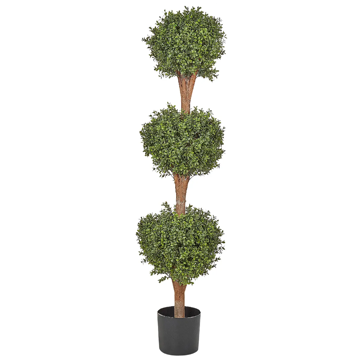 BELIANI BUXUS BALL TREE 154 cm Vert