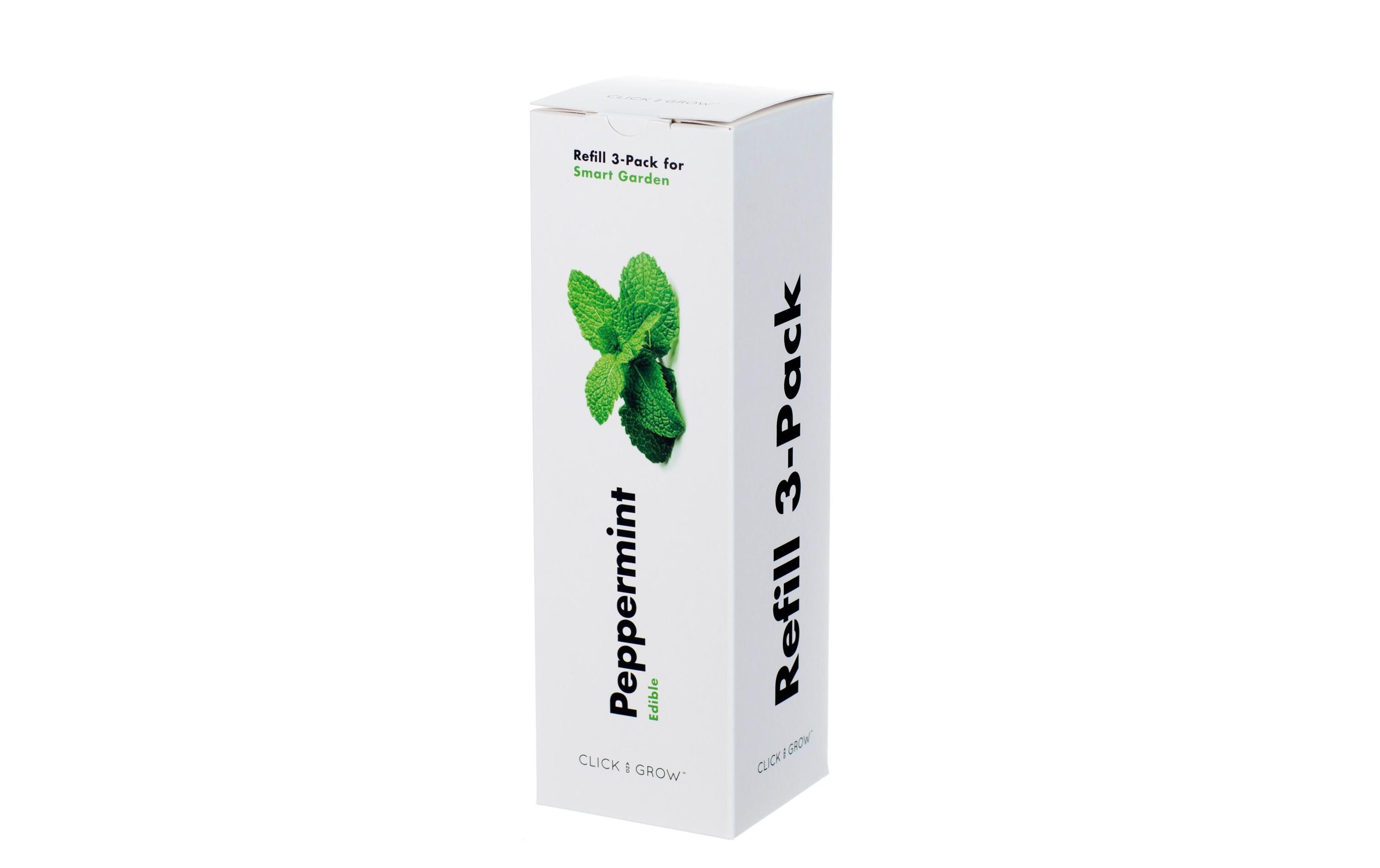 Samen PfefferminzeNachfüllpackung zum Smart Herb Garden