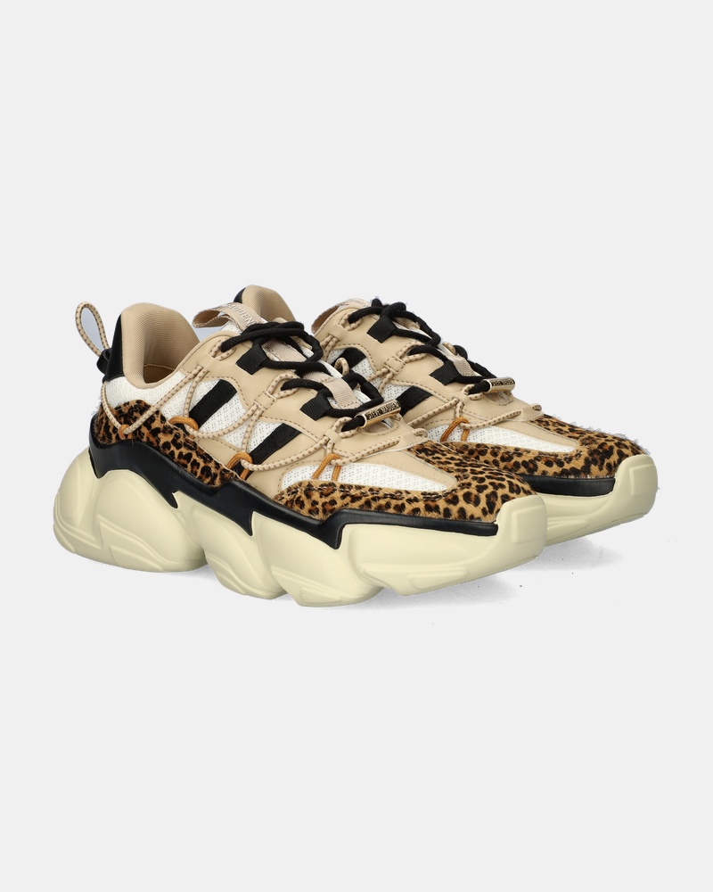 Steve Madden Spectator-L Lage sneakers  - bruin