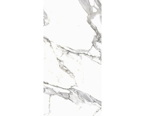 Porseleinen wand- en vloertegel Calacatta 119,7 x 59,7 x 0,8 cm wit gepolijst gerectificeerd
