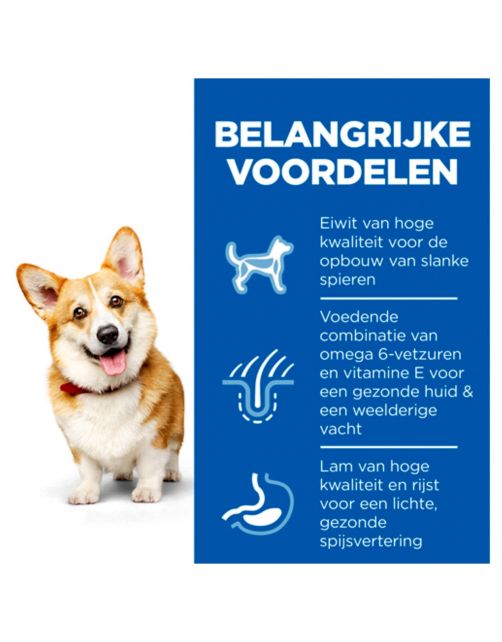 Hill's Canine Adult Small & Mini Lam&Rijst - Hondenvoer