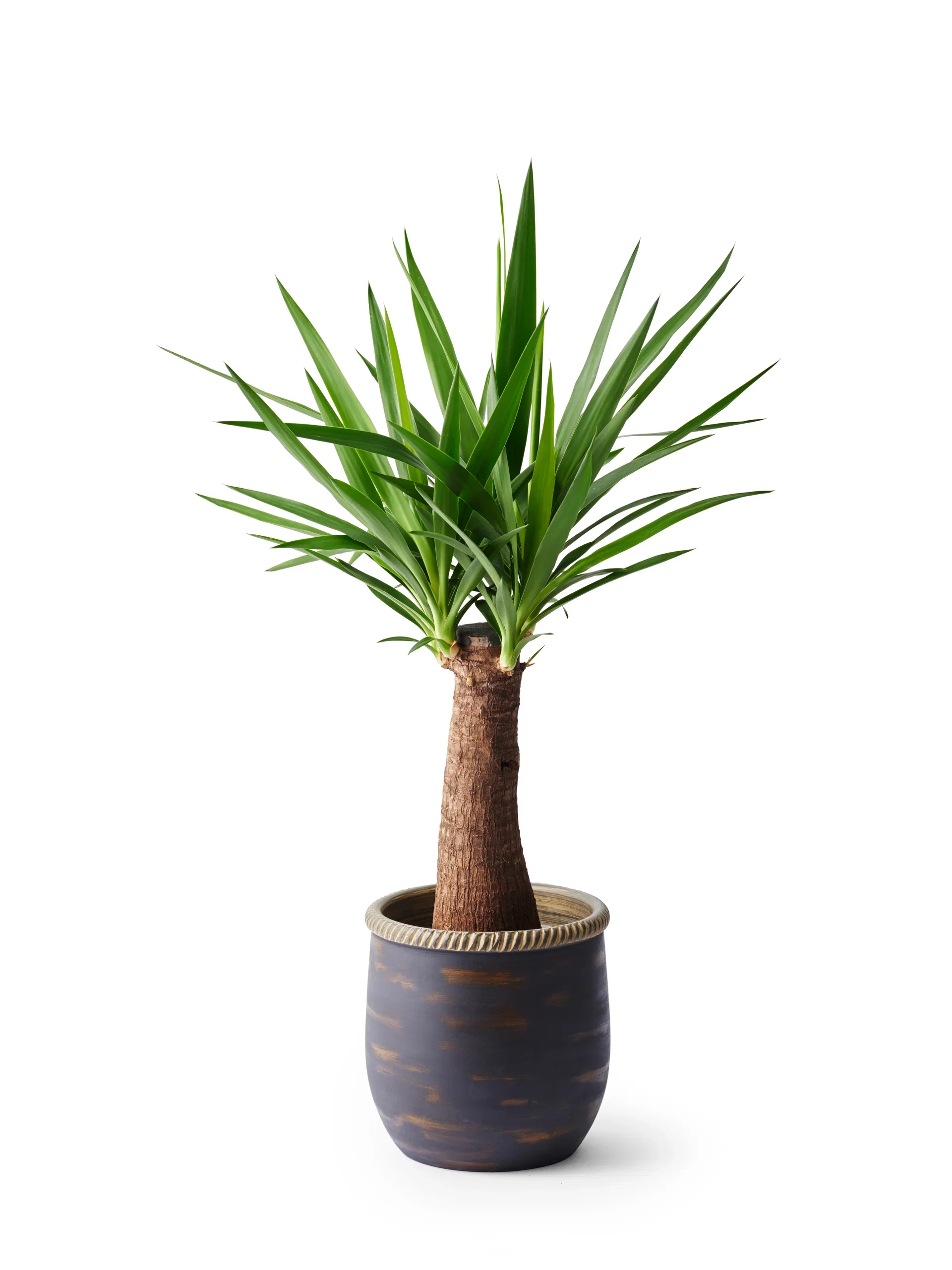 Plantagen Potte Patrik Ø24 cm