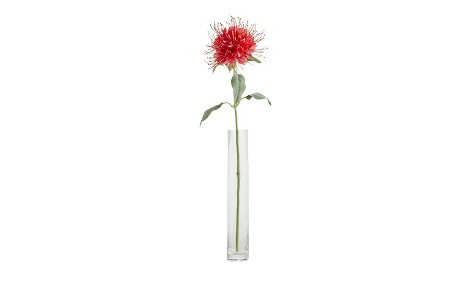 Kunstblume Monarda