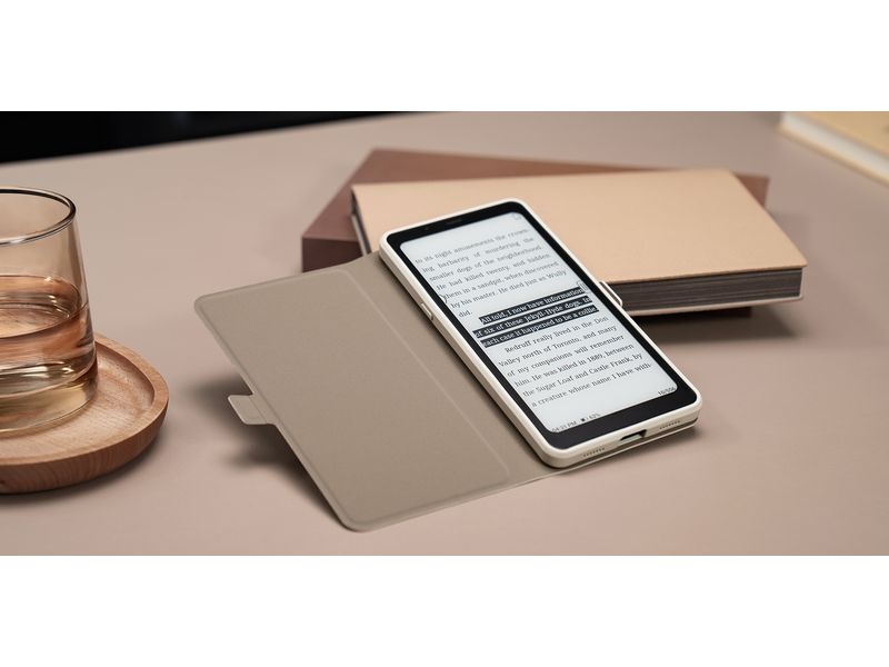 Onyx E-Book Reader Schutzhülle Boox Palma Schutzhülle mit Standfunktion für den Onyx Boox Palma