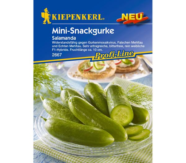 Kiepenkerl Samen Salatgurke 'Salamanda'