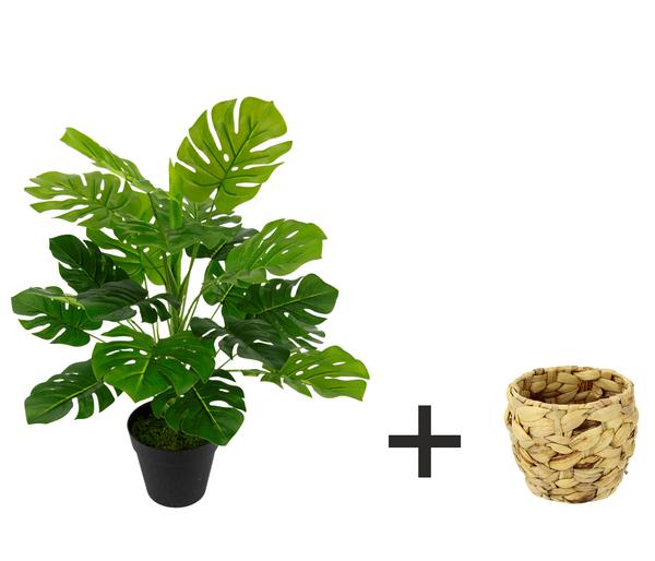I.GE.A. Kunstpflanze Monstera im