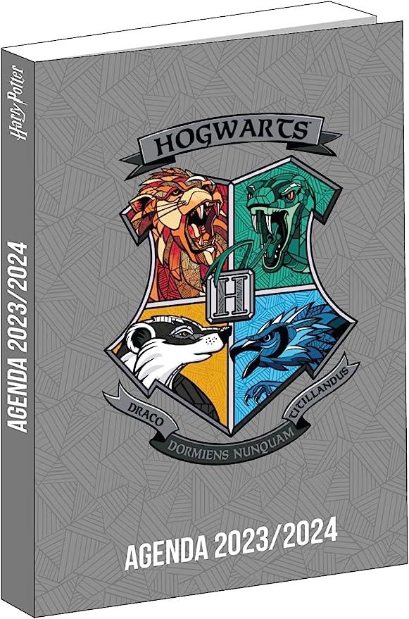 AGENDA HARRY POTTER GRIS 12X17CM