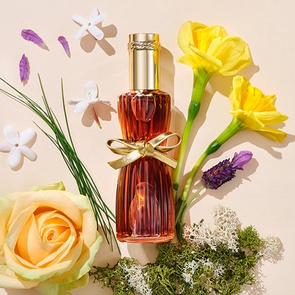 Estée Lauder Youth Dew Eau de Parfum Gift Set