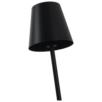 KARWEI vloerlamp Ivy zwart ø18x120cm