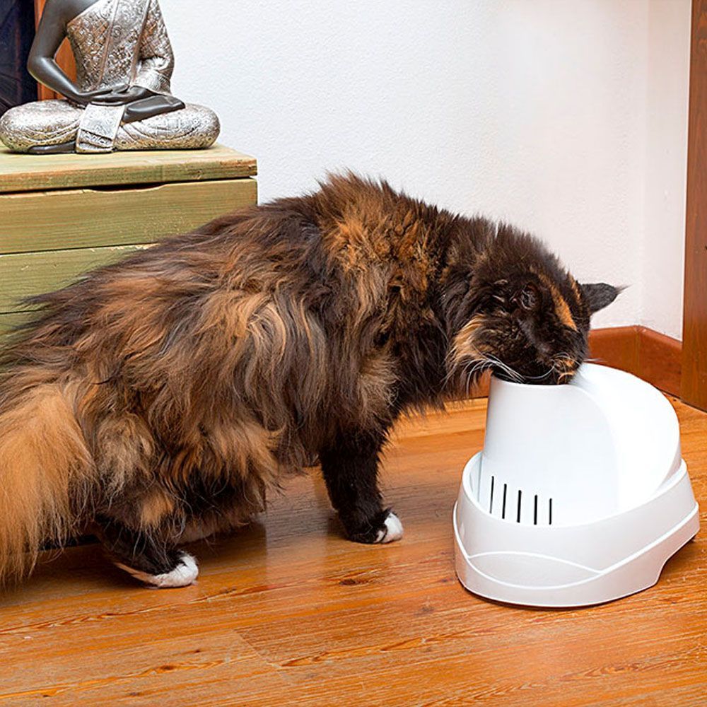 Ferplast fontaine pour chats et chiens de petite taille vega, 2 litres, avec protection antibactérienne permanente, effet source