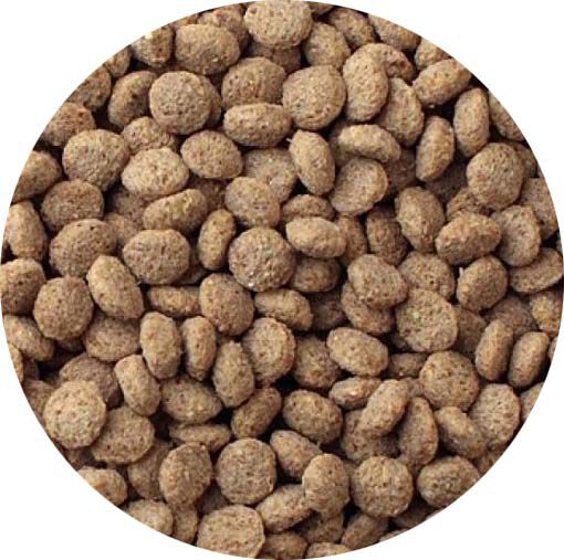Kasper Faunafood Anseres Floating - Watervogelvoer - 15 Kilogram