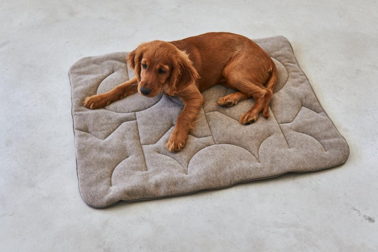 MiaCara Linea hondenplaid small anthracite
