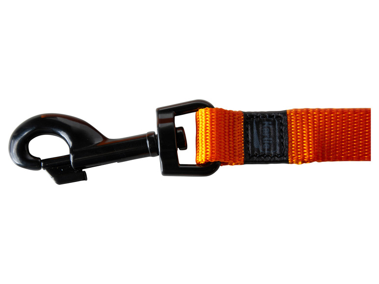 Halsband met lijn