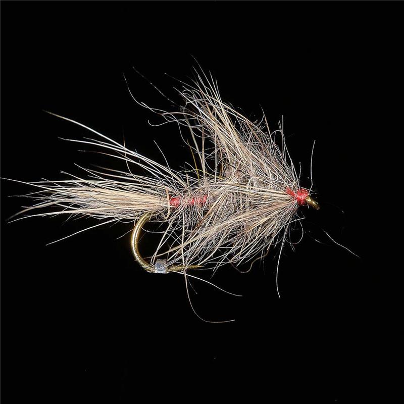 Mouche Jmc Emergente 64