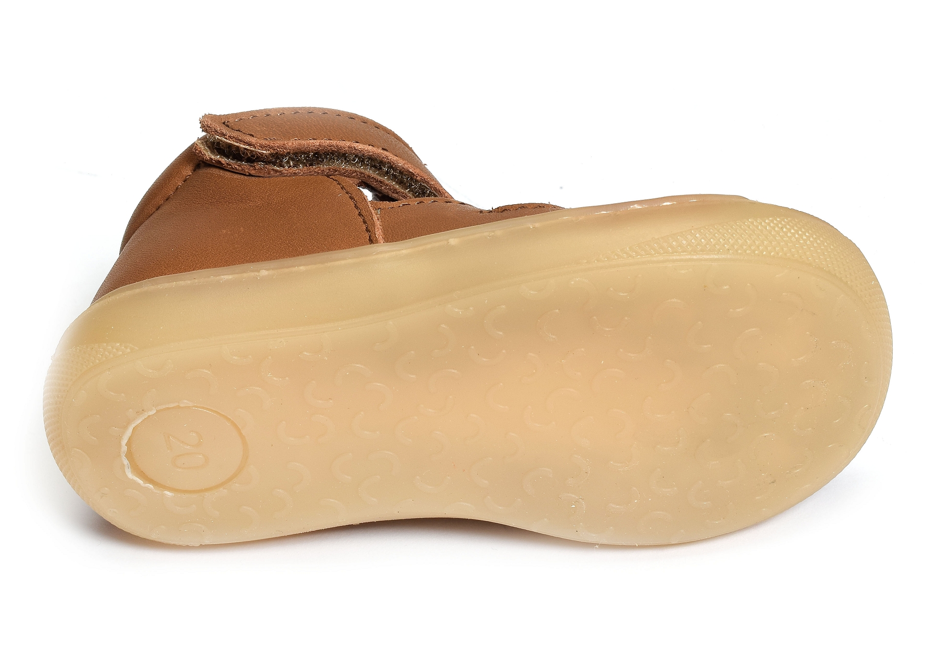 Lopp camel