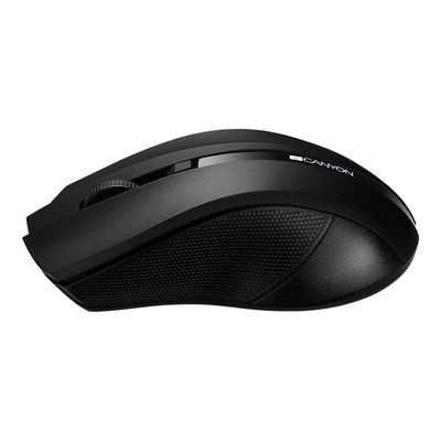 Canyon CNE-CMSW05B - souris sans fil - noir