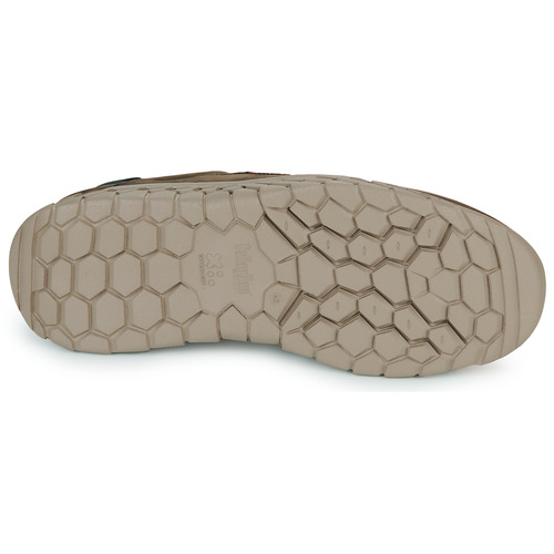 CallagHan - SUV CRO - Marron