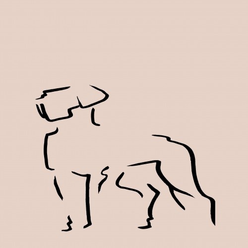 Ilustração de um Dogo rosa sem moldura
