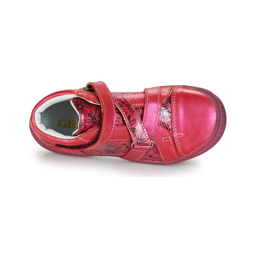 GBB - RADEGONDE - Rose