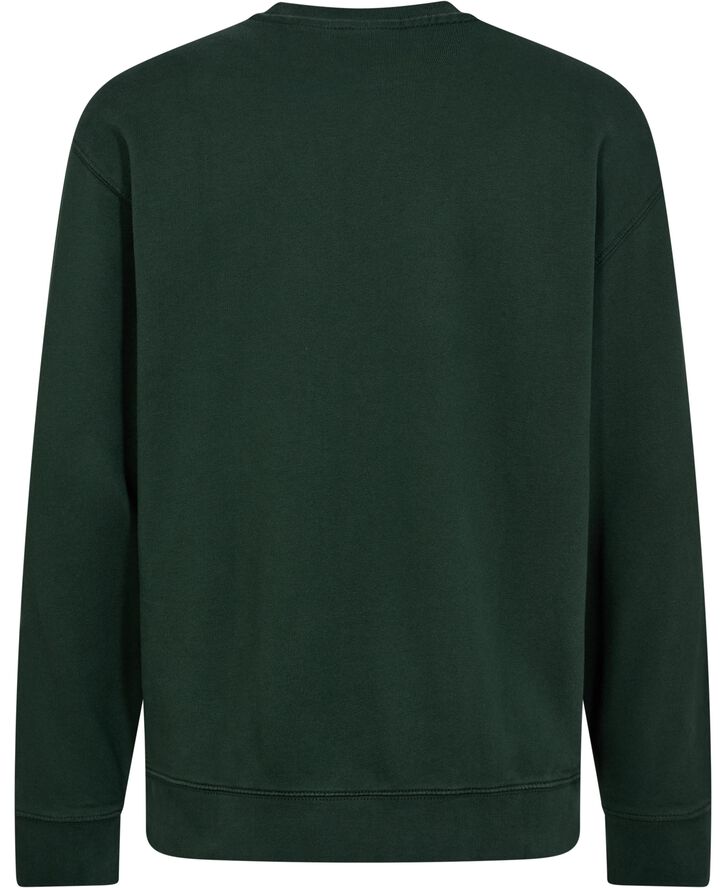 Levi's RELAXD GRAPHIC CREW APPLIQUE 3 Grøn