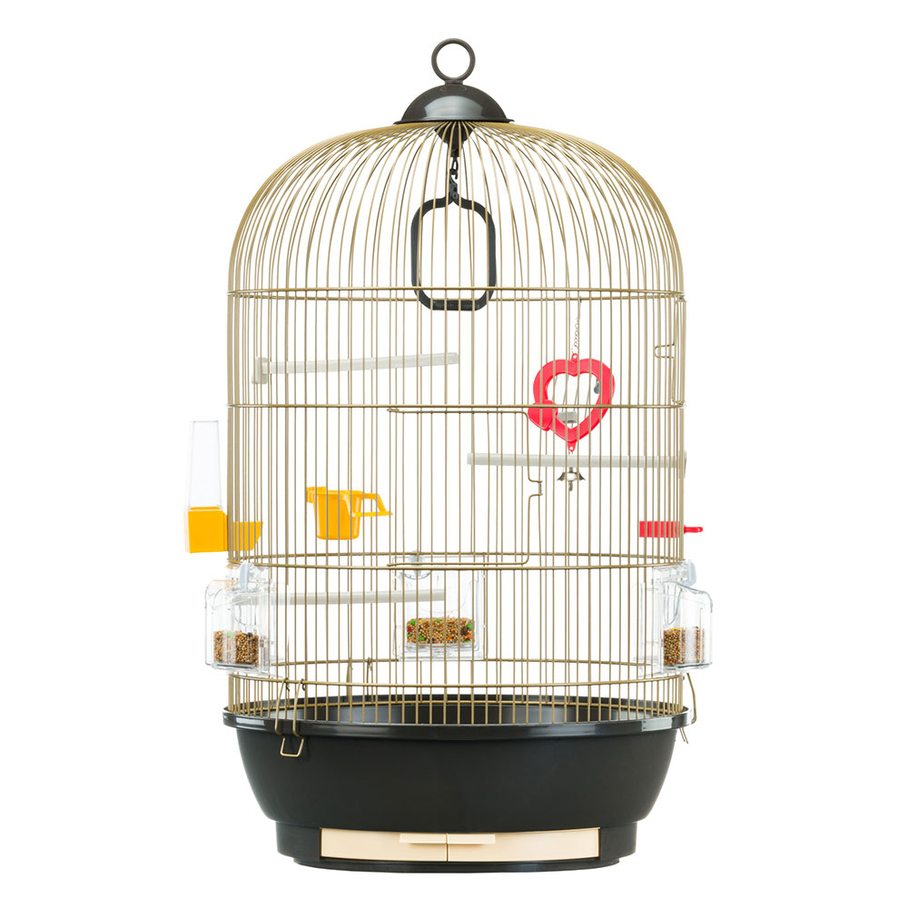 Ferplast cage à oiseaux diva cage pour oiseaux, canaris, pinsons, perruches ondulées, inséparables, en métal, accessoires inclus