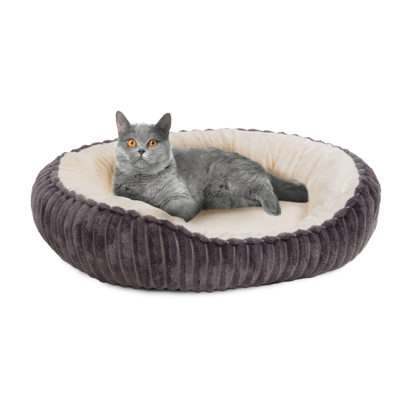 Wallace & Jones Katzenbett Cameron
