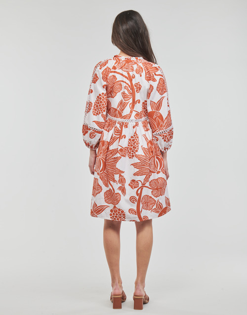 Derhy - COUCOU ROBE - Blanc / Cognac
