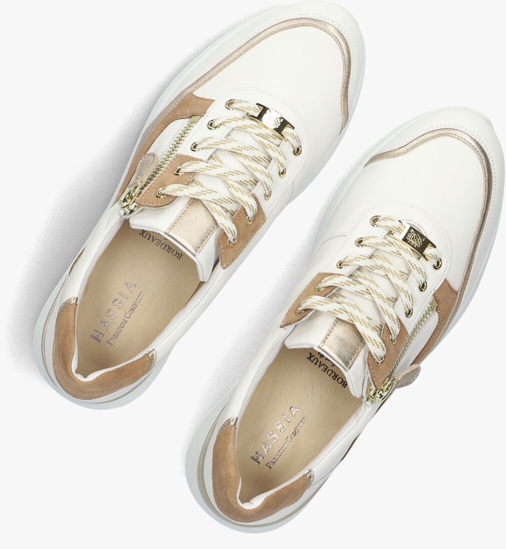 camel hassia lage sneakers bordeaux