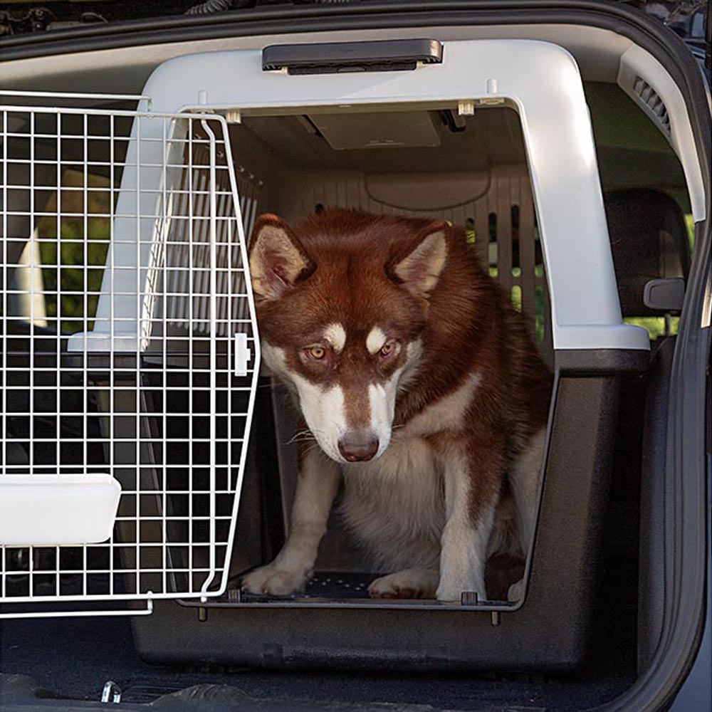 Panier de transport pour grands chiens atlas 60, écuelle et accessoires inclus, verrouillage de sécurité, grilles de ventilation