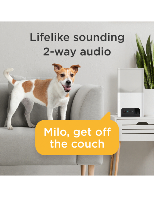 Petcube Pet Camera Met Treat Dispenser En App - IP Camera's - Wit