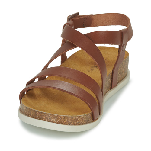 Kickers - KICK ALICE - Camel