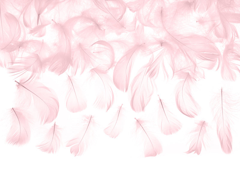 Roze Decoratie Veren 3g
