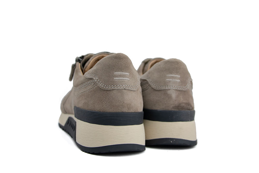 Greve Sneaker Haarlem K Roccia Suede