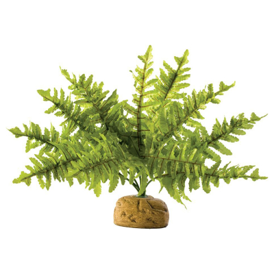 Exo Terra Boston Fern S