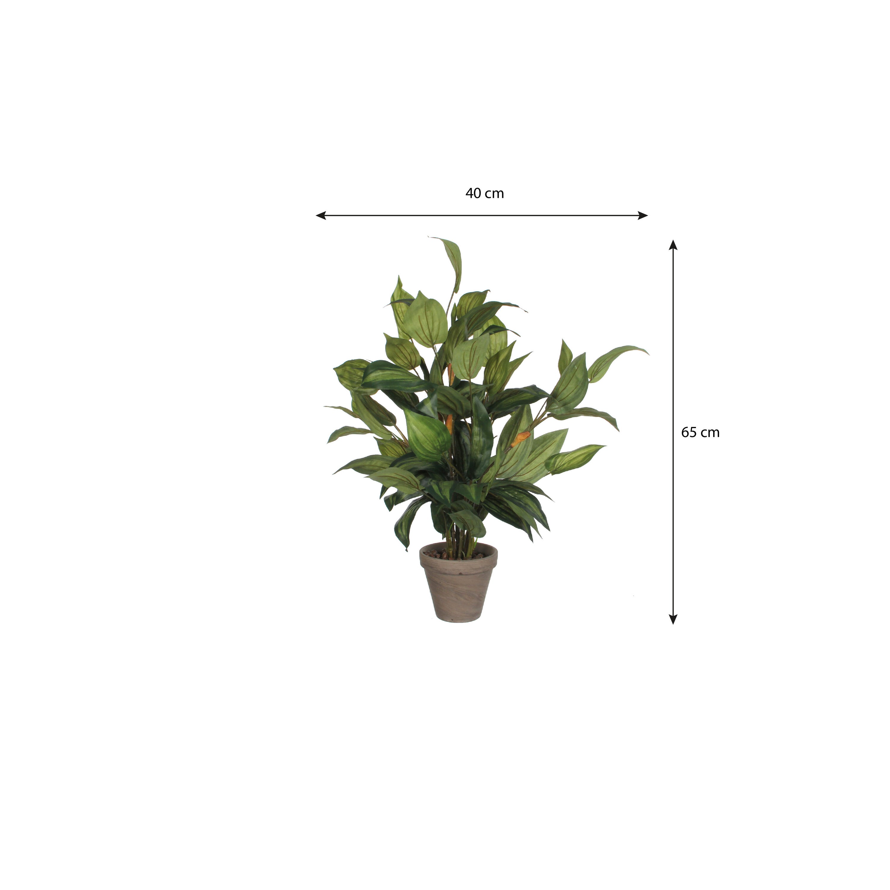 Mica Decorations Hosta groen in pot Stan grijs d15,5cm - h65xd40cm
