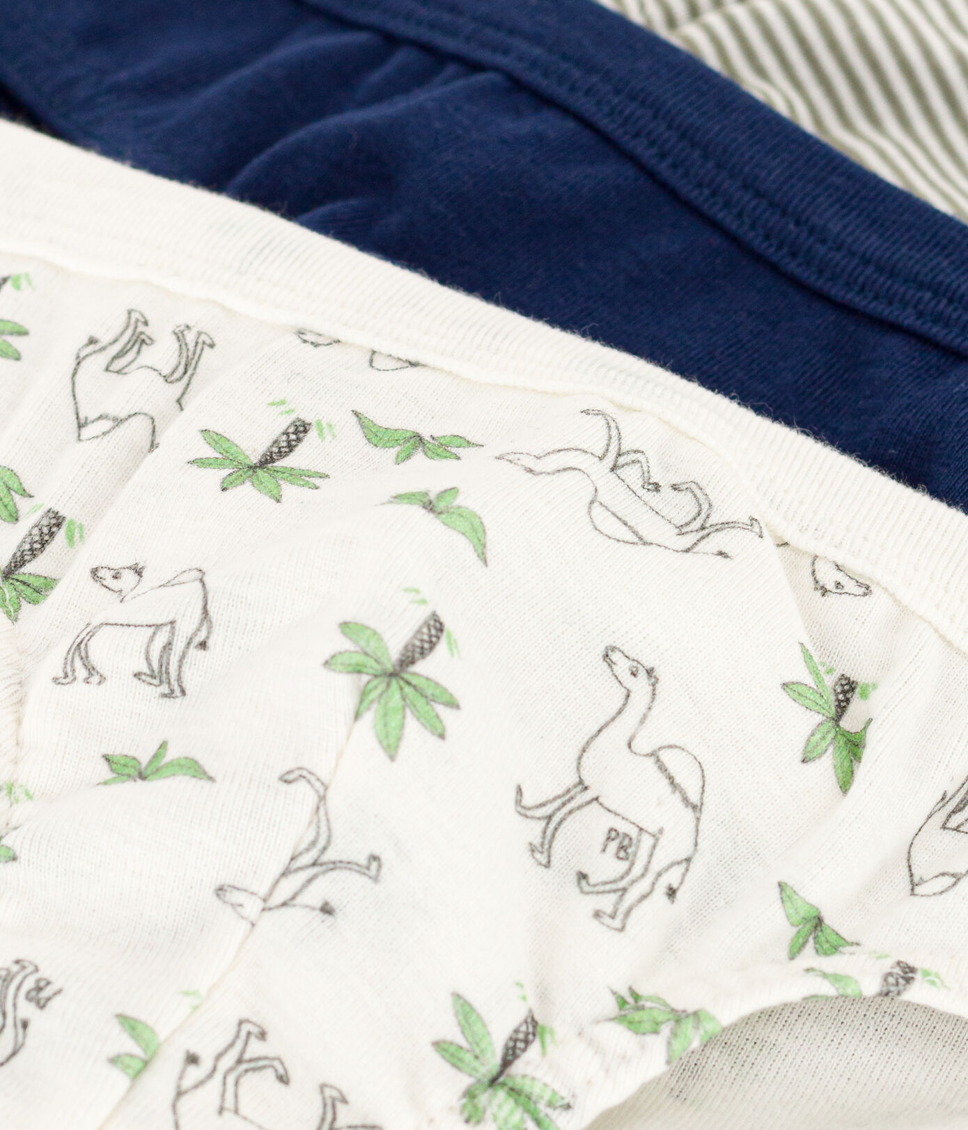 Lot de 3 slips dromadaires en coton petit garçon