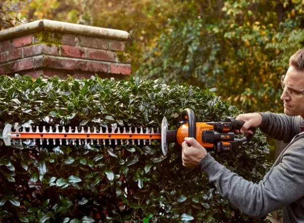 Worx batteridrevet saks WG284E.9 61 cm - SOLO