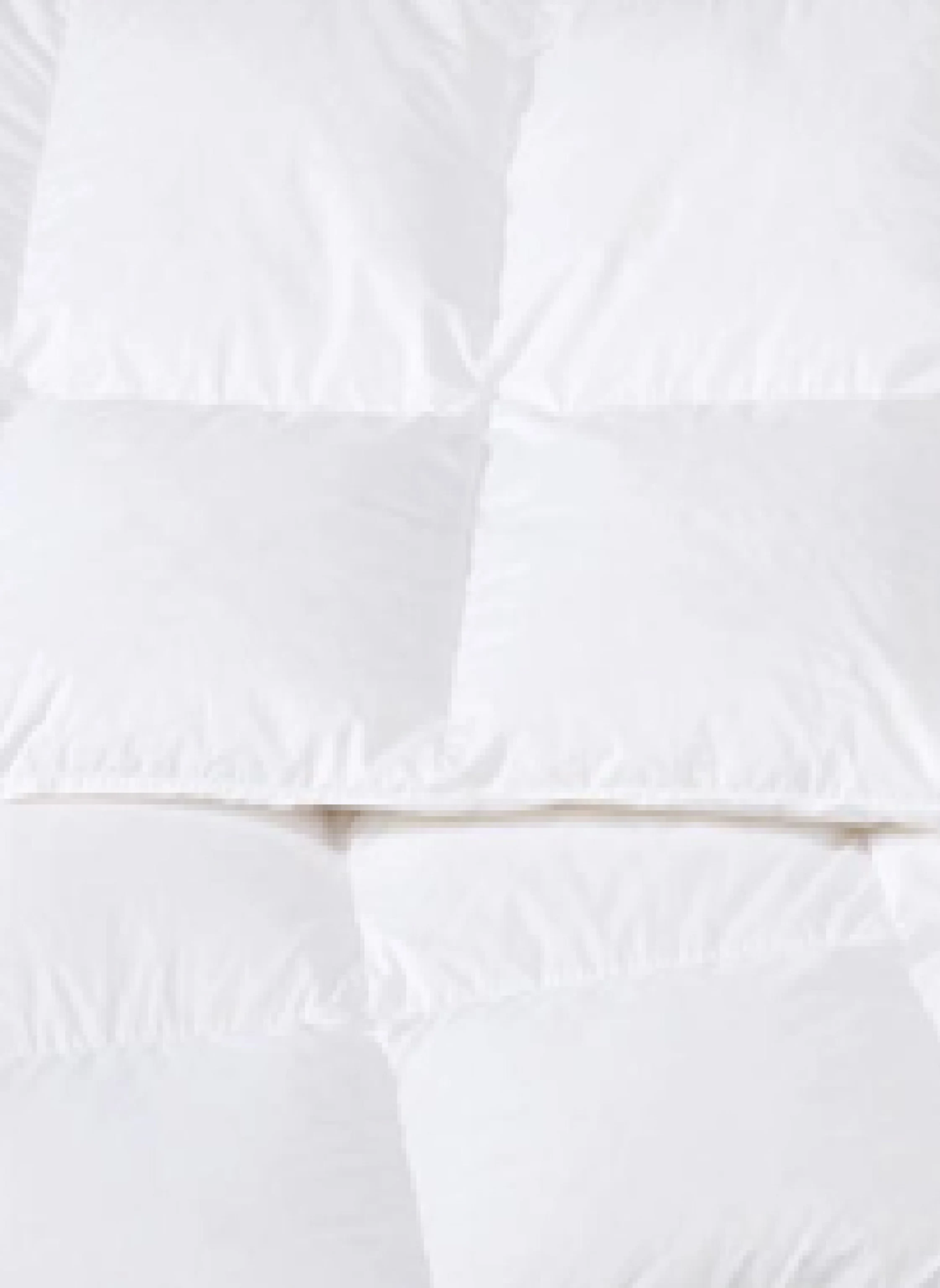 RID SELECTION Daunendecke SELECTION DE LUXE WARM