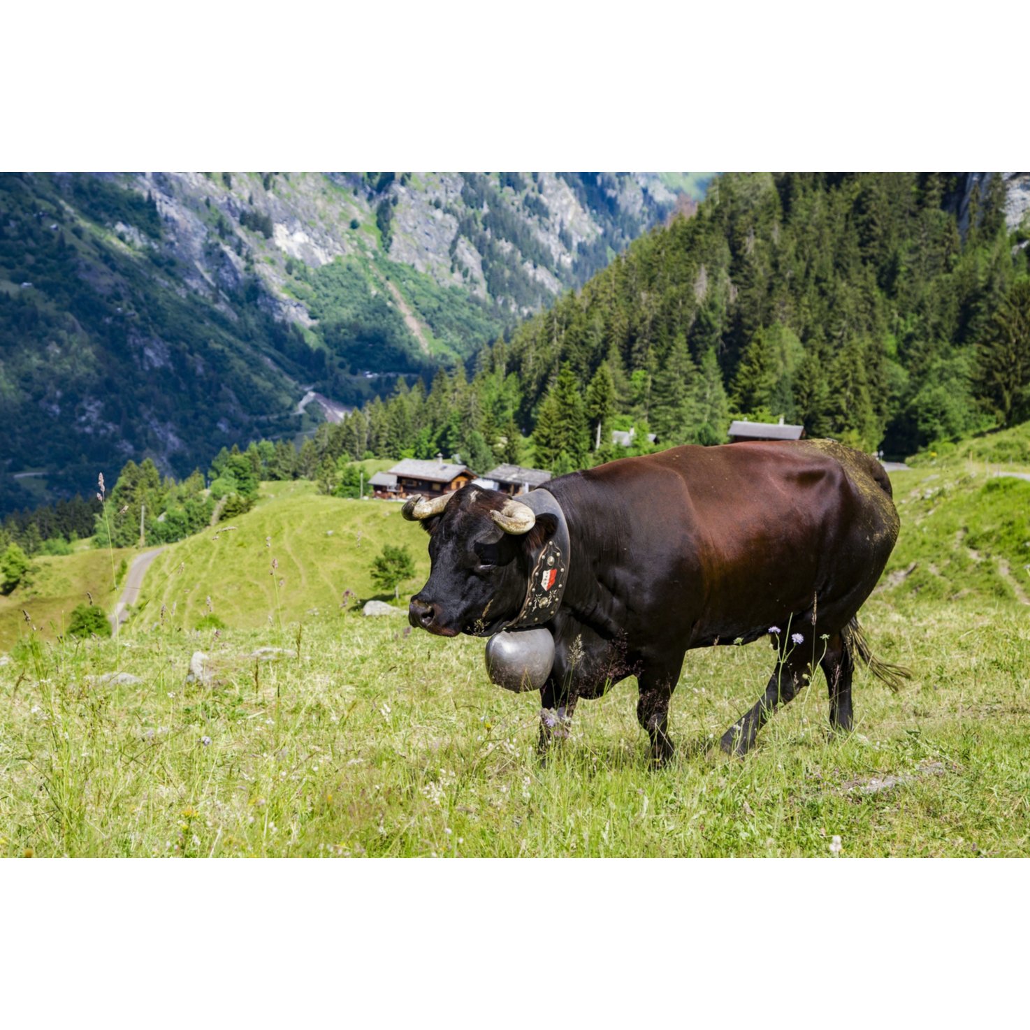 Spende für ein besseres Leben in den Berggebieten