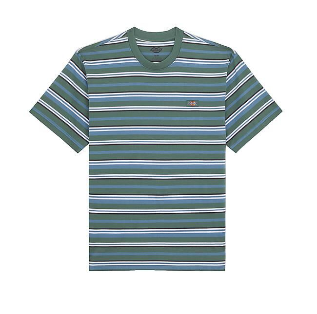 DICKIES - T-SHIRT MC GLADE SPRING TEE