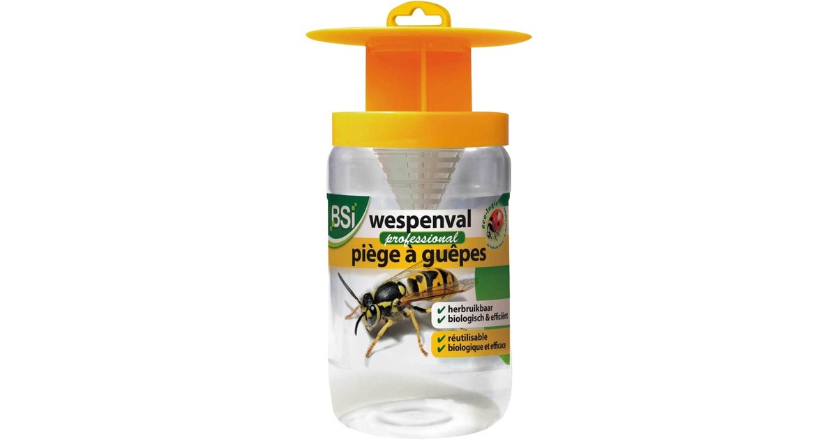 BSIWespenval insectenval