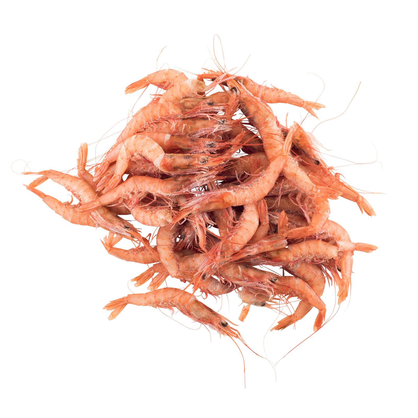 Petites crevettes blanches surgelées Hacendado