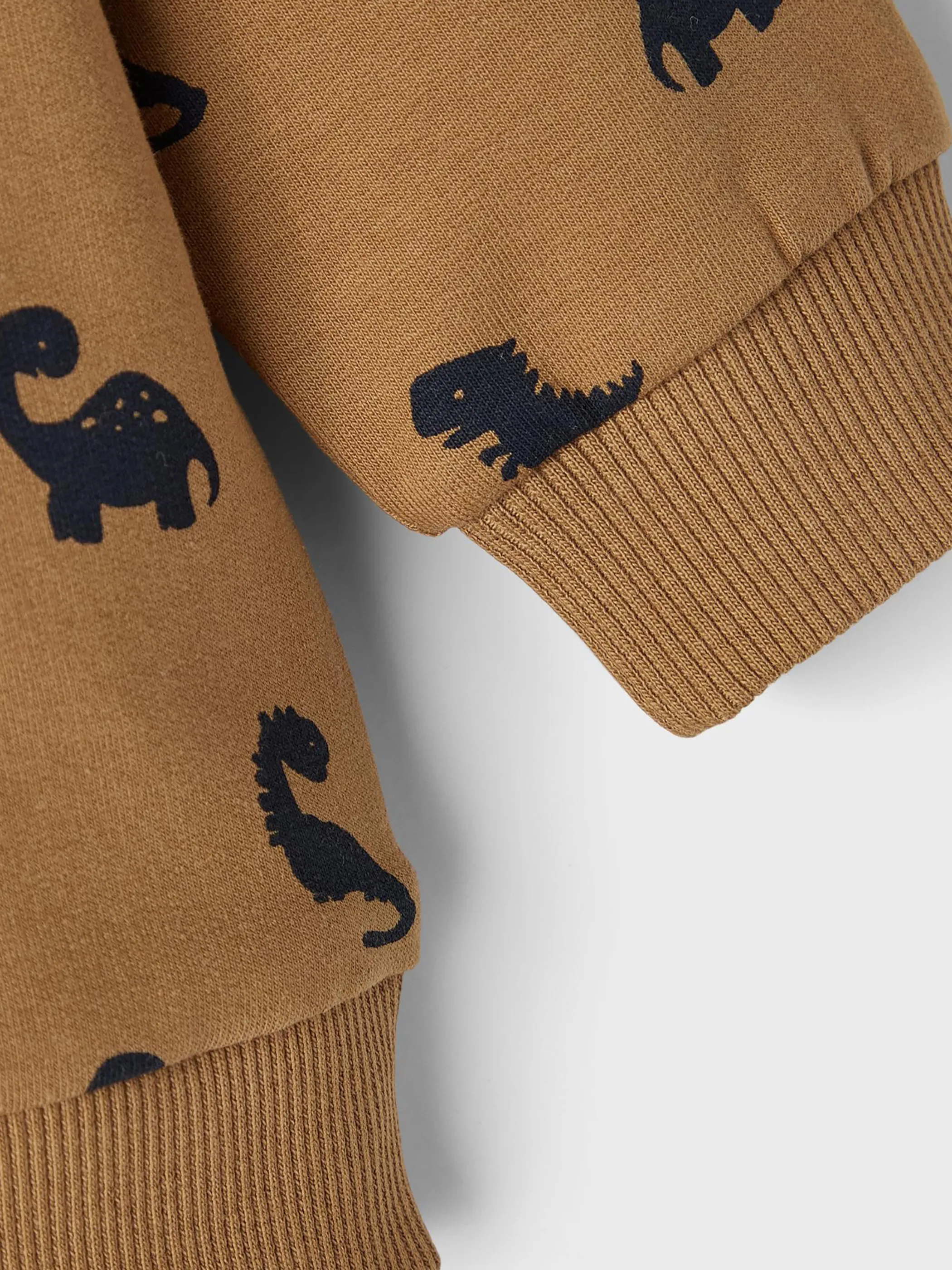 Jungen Sweatshirt mit Dinoprint