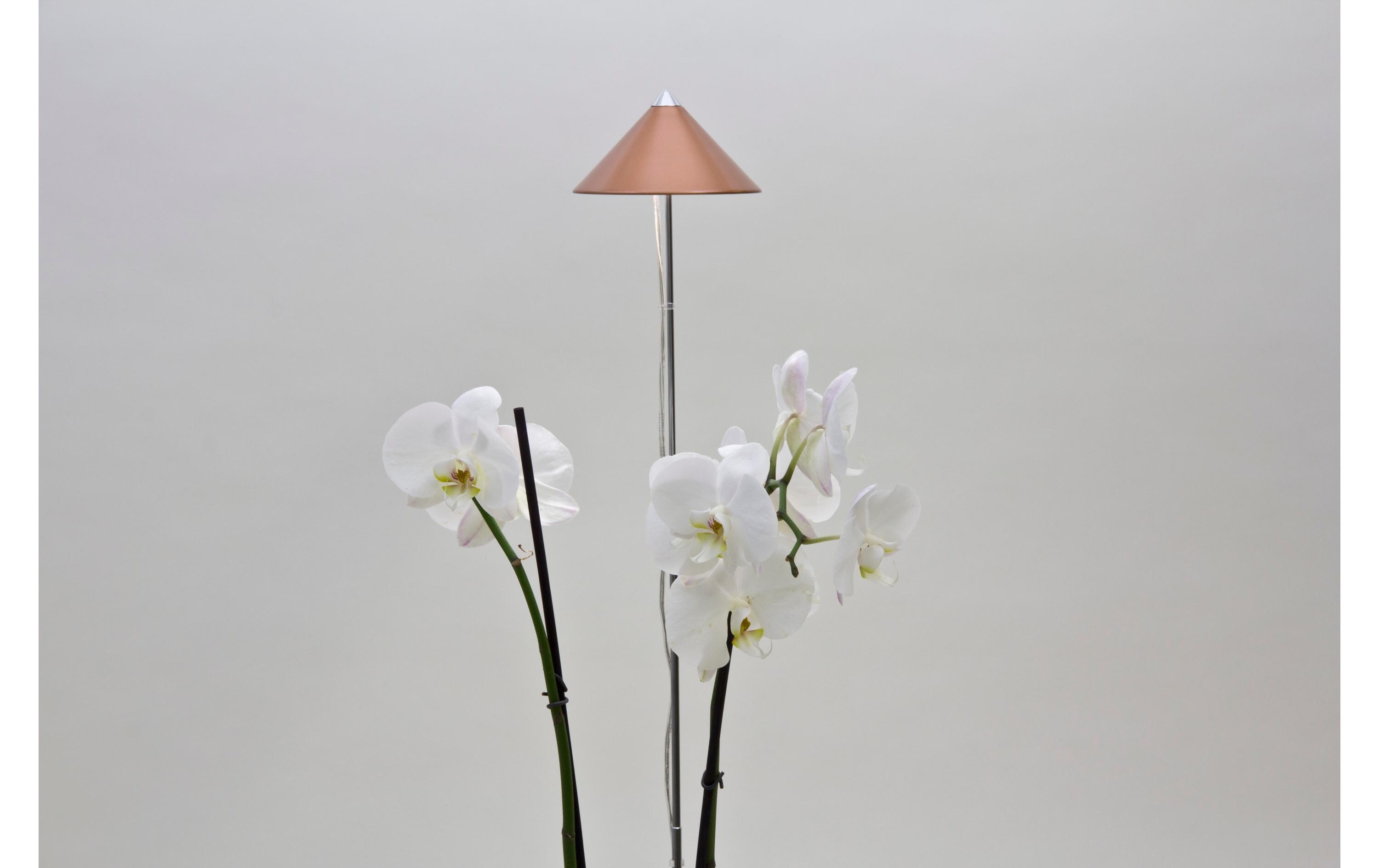 Pflanzenleuchte SunLite 7 W, KupferLED-Pflanzenlampe mit Vollspektrum